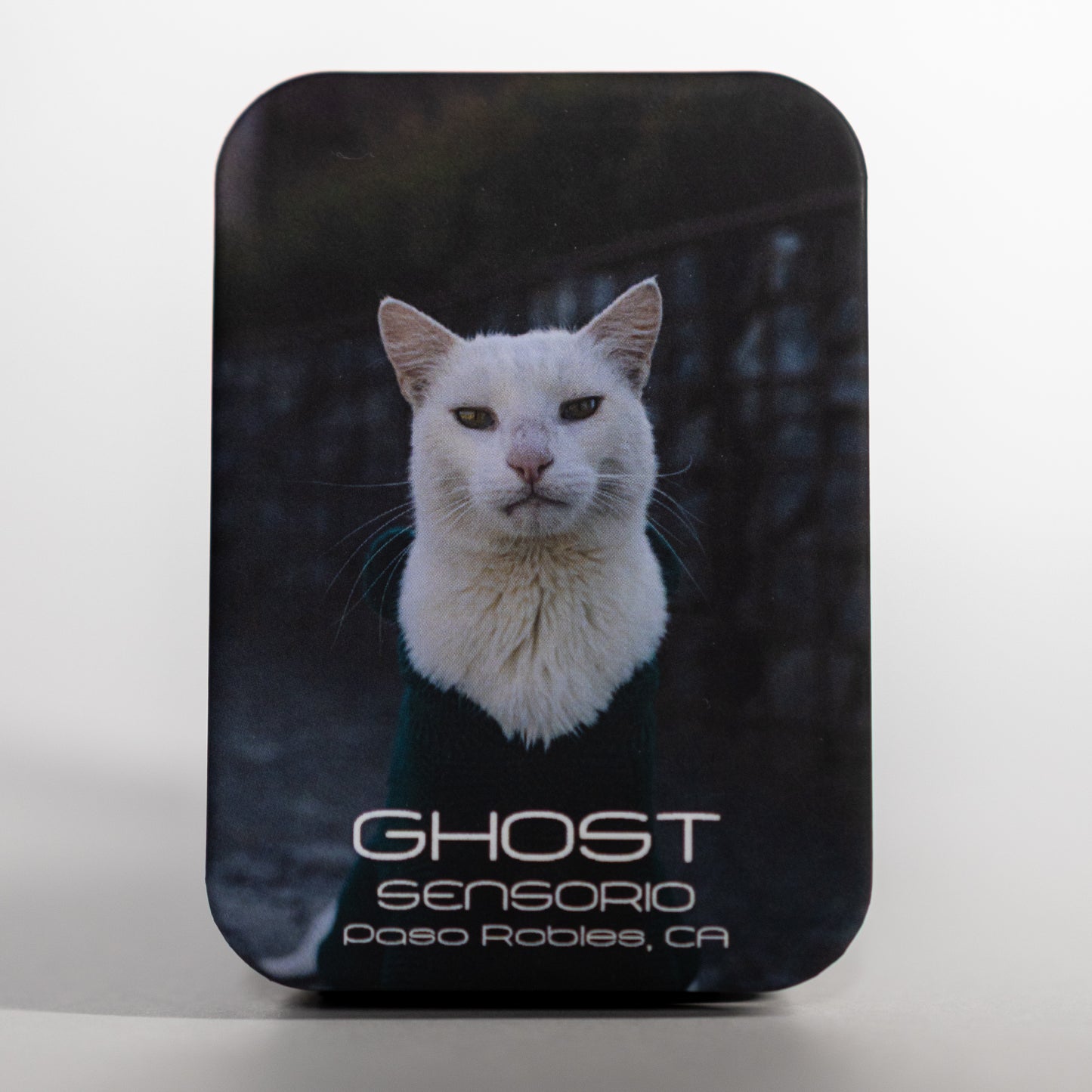 Ghost Magnet - ONLINE