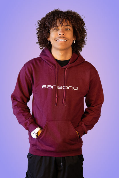 Maroon Hoodie - ONLINE